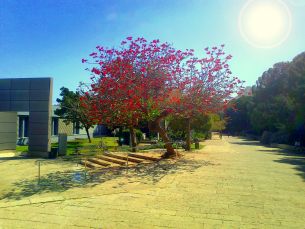 אולם הרצאות בפקולטה